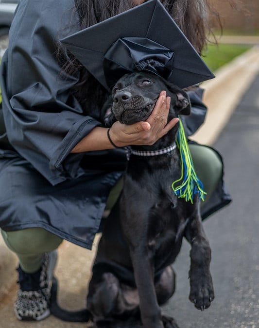 Delilah Hernandez's dog wearing a graduation cap.